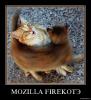 mozilla_firekote.jpg