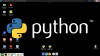 python.jpg